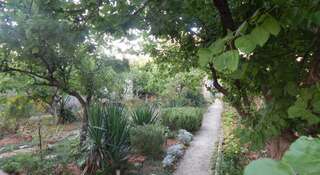 Гостевой дом The Grand Mollusk Севастополь-1